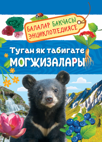 Туган як табигате могҗизалары. Балалар бакчасы энциклопедиясе
